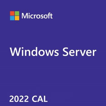 Windows Server 2022 - 1 User CAL  - Software;Perpetual