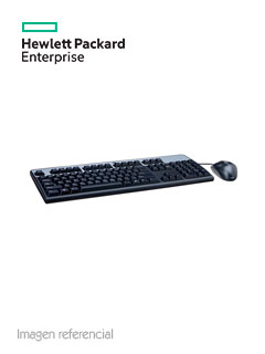 HP USB US KEYBOARD/MOUSE KIT