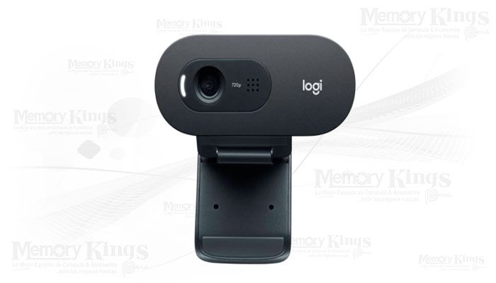CAMARA WEBCAM LOGITECH C505 HD 720p/30fps panormic