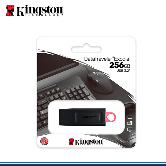 Unidad flash Kingston DataTraveler Exodia DTX - 256GB - USB 3.2 (Gen 1) - Negro, Rosa