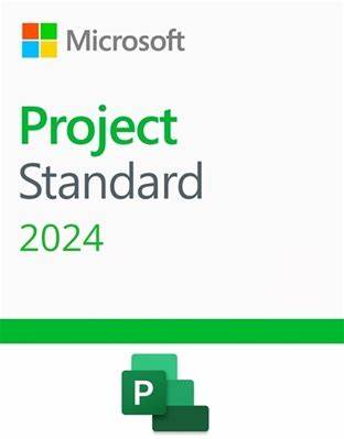 project standard 2024 all lng