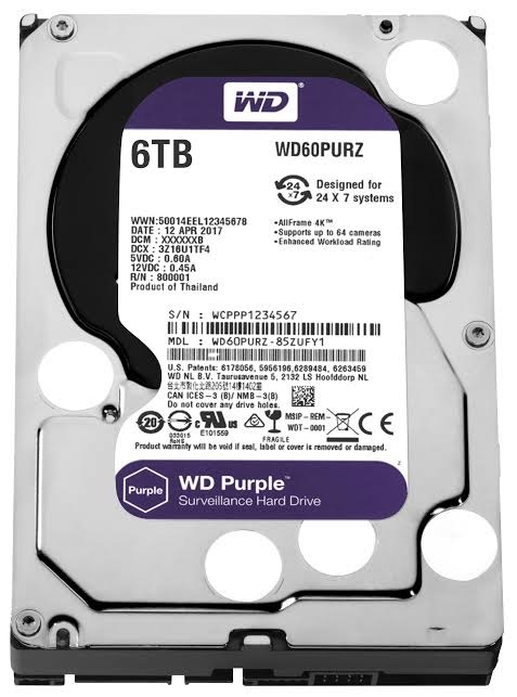 WESTERN DIGITAL DISCO DURO PURPURA 6TB