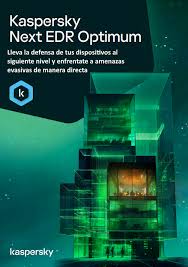 Kaspersky Next EDR Optimum, 12 MESES