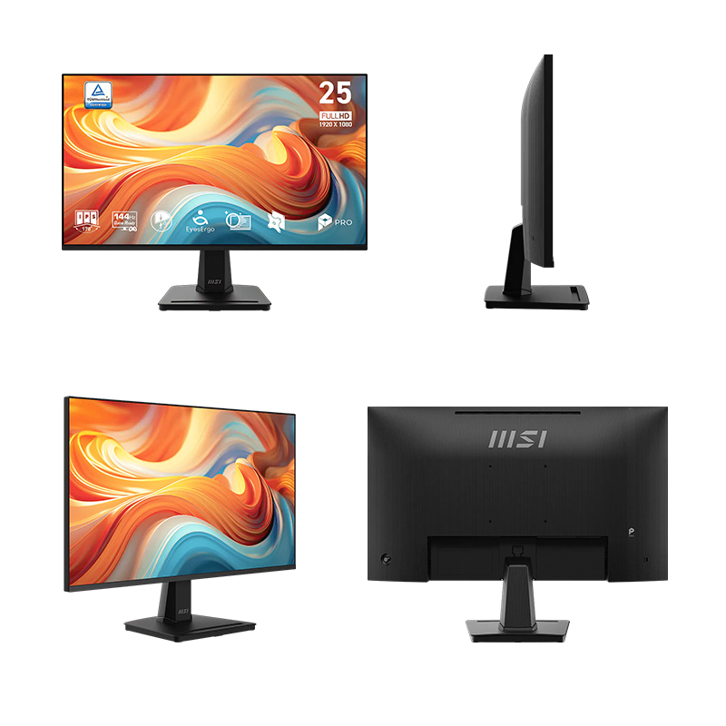 MON 25 MS PRO MP251 E14L FHD
