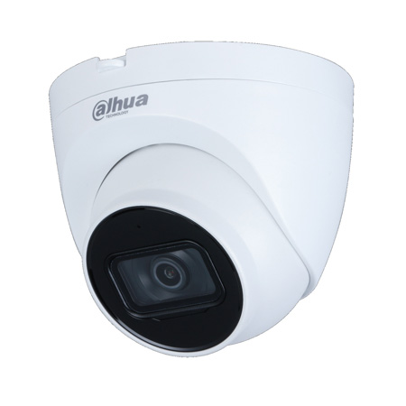 2MP WDR IR Eyeball Network Camera