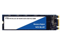 WD Blue SA510 WDS100T3B0B - SSD - 1 TB