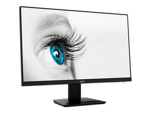 MONITORES 21+