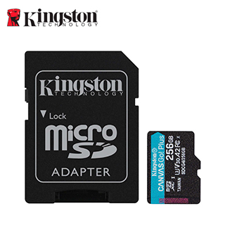 MICROSD KT CANVAS GO PLUS 256G