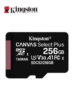 MICRO SD KING CANVAS 256G