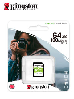 SD CARD CANVAS 64GB