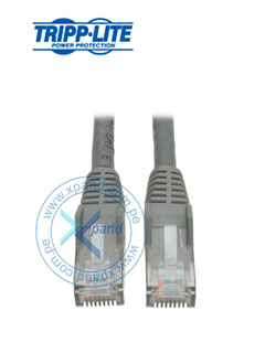 PATCH CORD CAT6 GRIS 3.05M