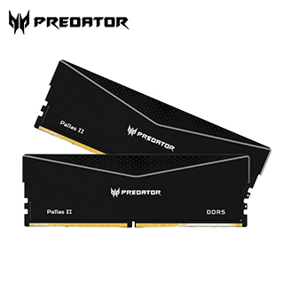 MEM RAM 32G(2X16) PALLAS2 6.0G
