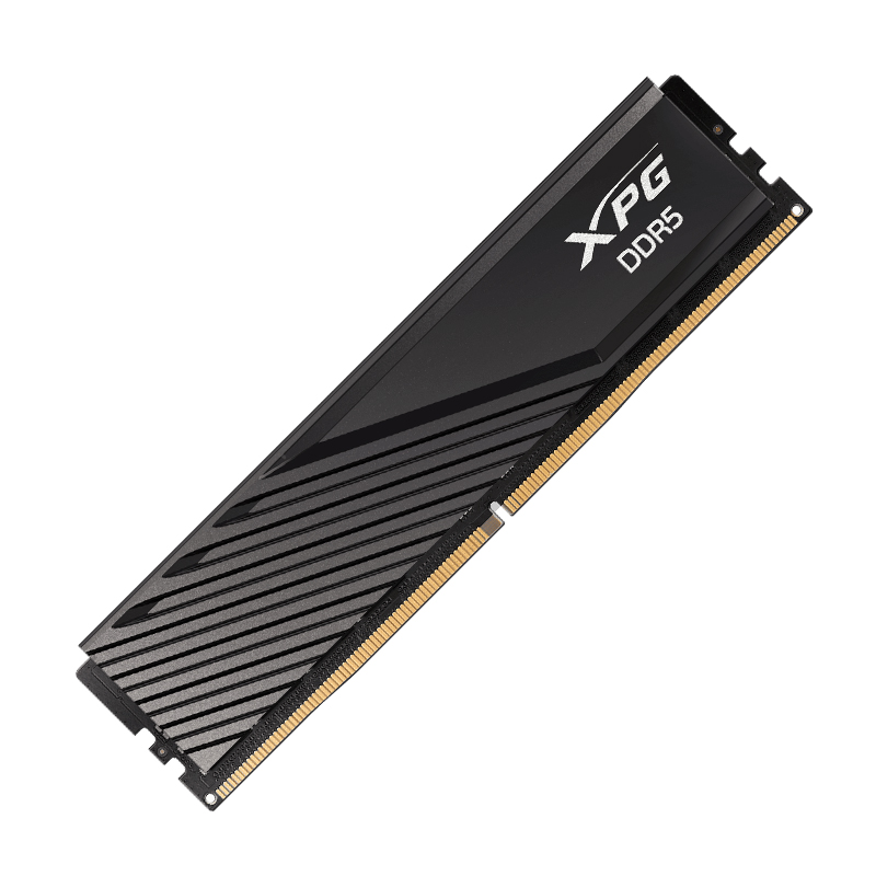 MEM RAM 8G XPG LAN 5.60G DDR5