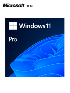 WIN 11 PRO 64BIT SPANISH LATAM