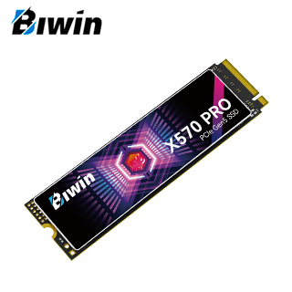SSD BW X570 PRO 1TB NMVE GEN5
