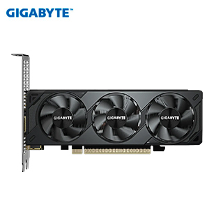 VGA 8G GB RTX5060 LP OC GDDR7