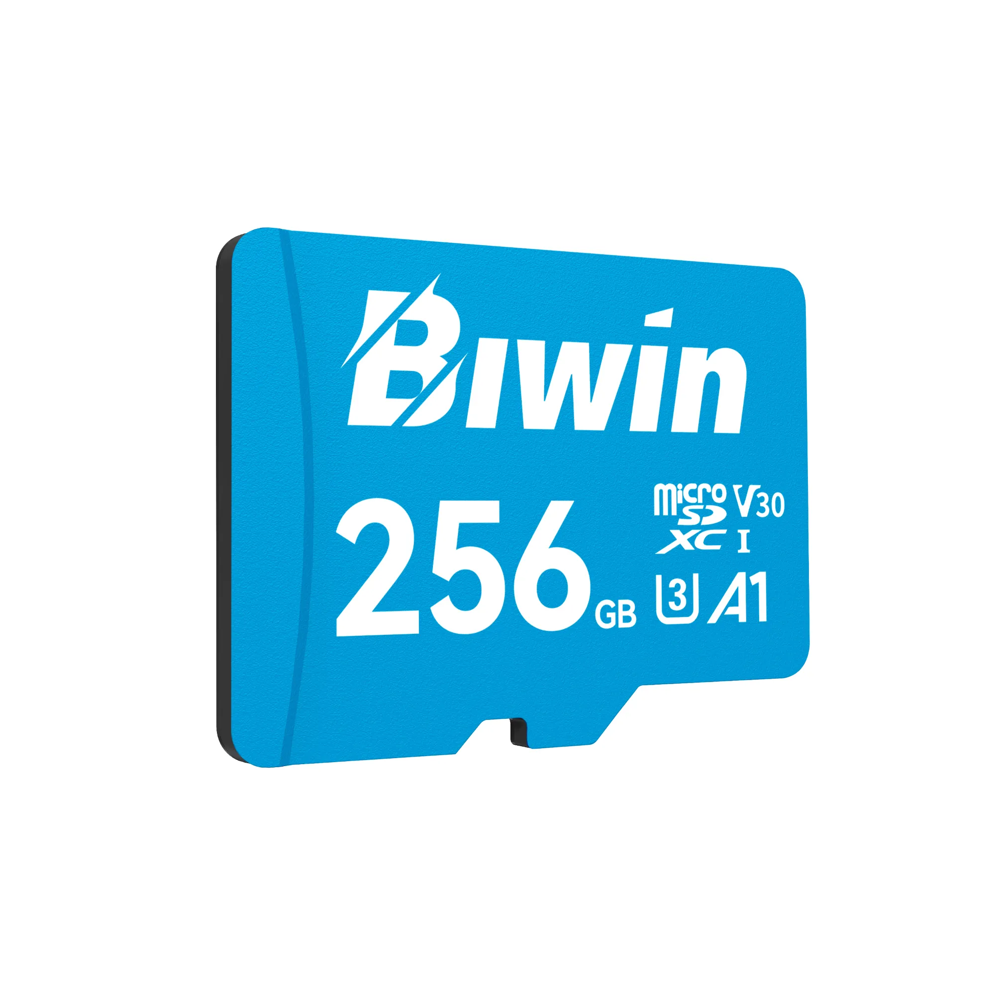 MEMORIA BIWIN MICROSA MS100 256GB - CC020147 - ALMACENAMIENTO