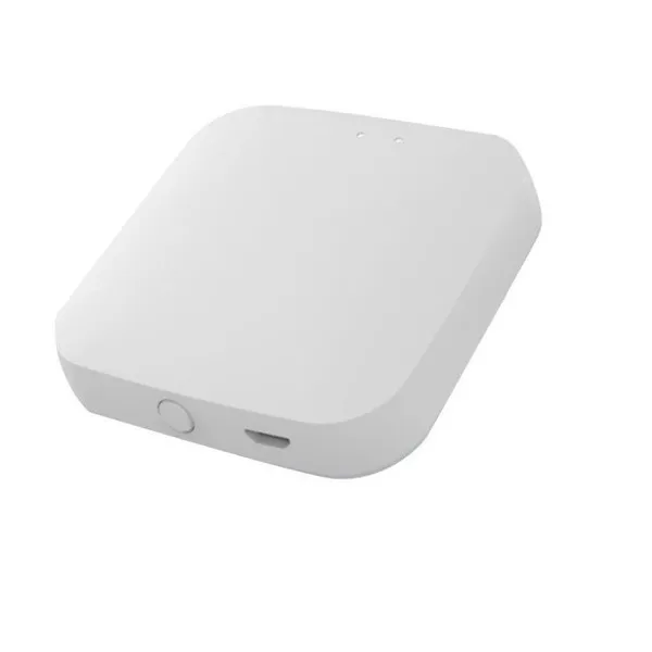 CONTROLADOR DE ZEGBEE PARA DL30Z ZKTECO - CA050021 - CERRADURAS