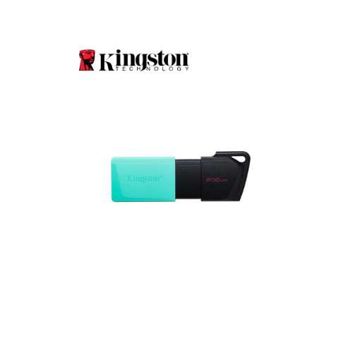 MEMORIA USB 256GB DTXM 3.2 NEGRO/VERDE KINGSTON (DTXM/256GB)
