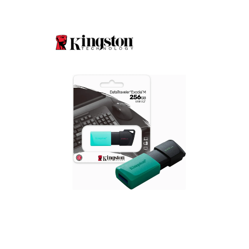 MEMORIA USB 256GB DTXS 3.2 KINGSTON (DTXS/256GB)