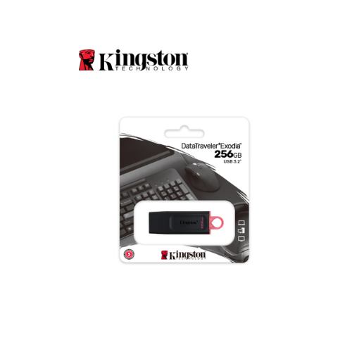 MEMORIA USB 256GB DTX 3.2 NEGRO KINGSTON (DTX/256GB)