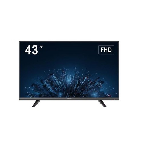 MONITOR 43" 1920 X 1080 VESA